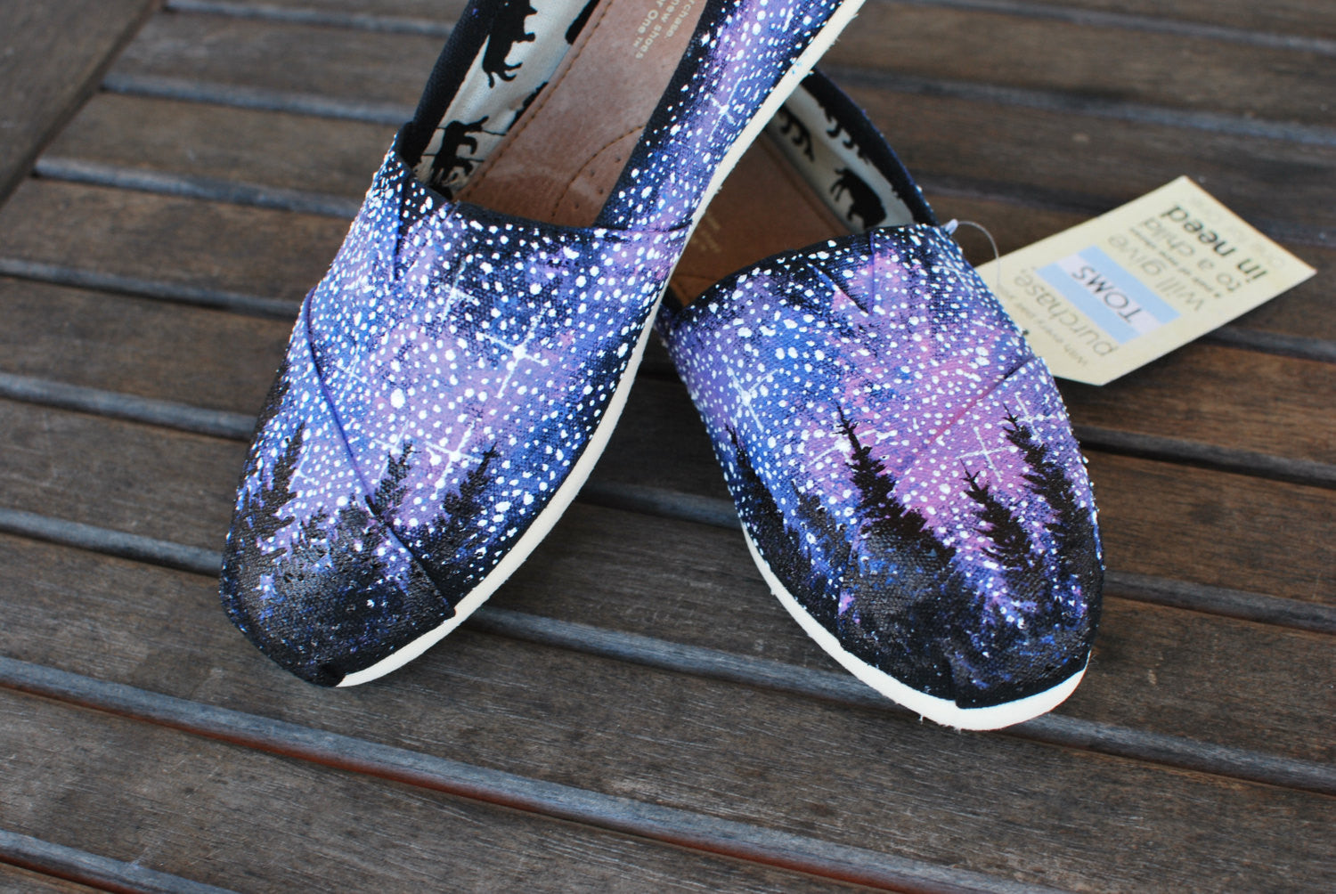 Alaska Galaxy TOMS shoes