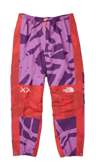 KAWS x The North Face Pants Purple/Red