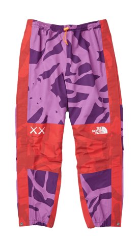 KAWS x The North Face Pants Purple/Red